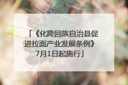 《化隆回族自治县促进拉面产业发展条例》7月1日起施行