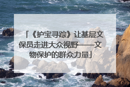 《护宝寻踪》让基层文保员走进大众视野——文物保护的群众力量