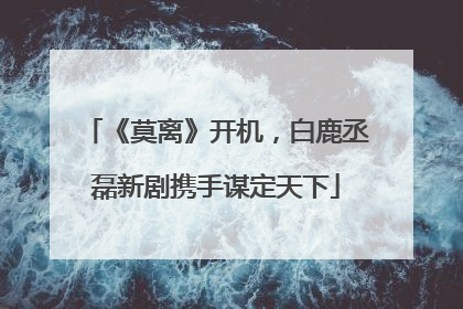 《莫离》开机，白鹿丞磊新剧携手谋定天下