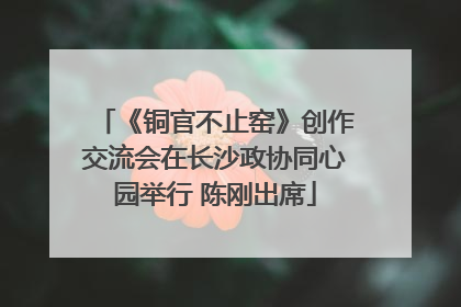 《铜官不止窑》创作交流会在长沙政协同心园举行 陈刚出席