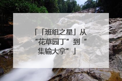 「班组之星」从“花草园丁”到“集输大拿”