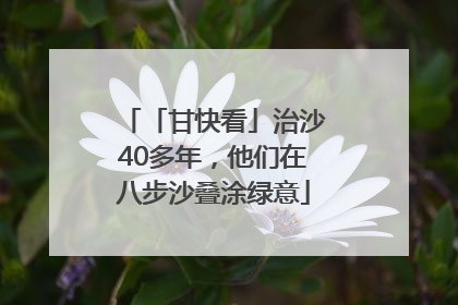 「甘快看」治沙40多年，他们在八步沙叠涂绿意