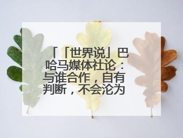 「世界说」巴哈马媒体社论：与谁合作，自有判断，不会沦为“权力游戏”
