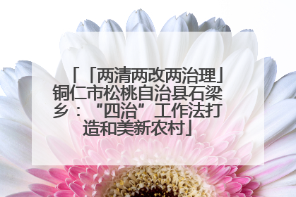 「两清两改两治理」铜仁市松桃自治县石梁乡：“四治”工作法打造和美新农村