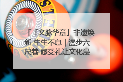 「文脉华章」非遗焕新 生生不息｜漫步六尺巷 感受礼让文化浸润的“巷”往生活