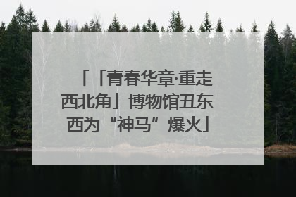 「青春华章·重走西北角」博物馆丑东西为“神马”爆火