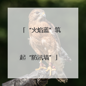 “火焰蓝”筑起“防汛墙”
