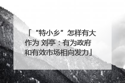 “特小乡”怎样有大作为 刘亭：有为政府和有效市场相向发力