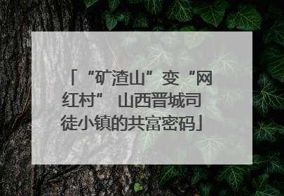 “矿渣山”变“网红村” 山西晋城司徒小镇的共富密码