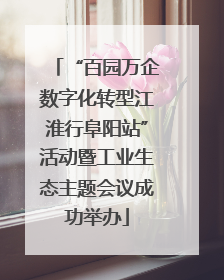 “百园万企数字化转型江淮行阜阳站”活动暨工业生态主题会议成功举办