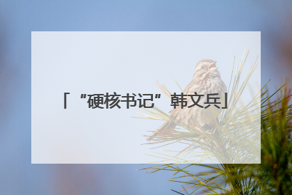 “硬核书记”韩文兵