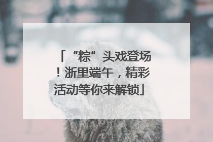 “粽”头戏登场！浙里端午，精彩活动等你来解锁
