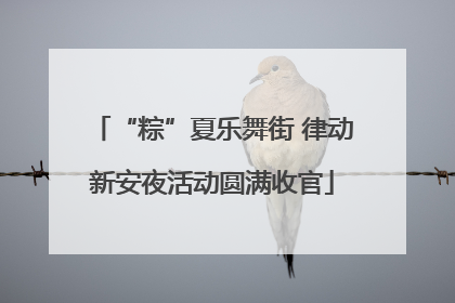 “粽”夏乐舞街 律动新安夜活动圆满收官