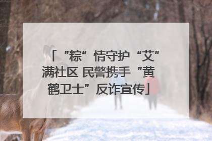 “粽”情守护“艾”满社区 民警携手“黄鹤卫士”反诈宣传