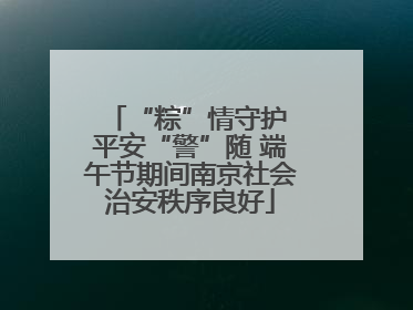 “粽”情守护 平安“警”随 端午节期间南京社会治安秩序良好