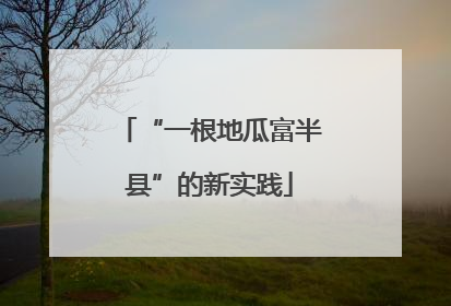 “一根地瓜富半县”的新实践