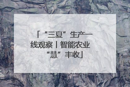 “三夏”生产一线观察丨智能农业“慧”丰收