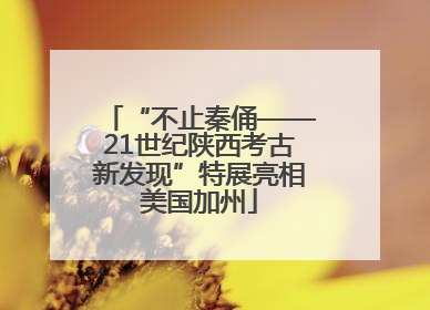 “不止秦俑——21世纪陕西考古新发现”特展亮相美国加州