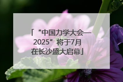 “中国力学大会—2025”将于7月在长沙盛大启幕