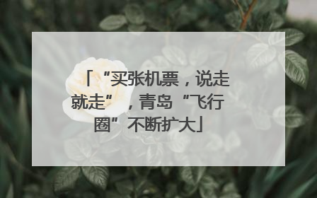 “买张机票，说走就走”，青岛“飞行圈”不断扩大