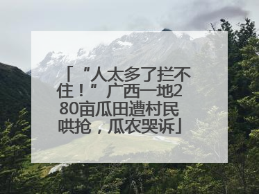 “人太多了拦不住！”广西一地280亩瓜田遭村民哄抢，瓜农哭诉