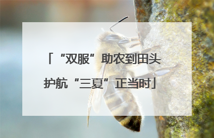 “双服”助农到田头 护航“三夏”正当时