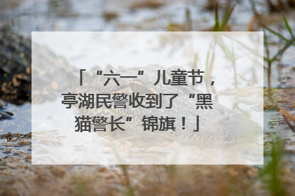 “六一”儿童节，亭湖民警收到了“黑猫警长”锦旗！