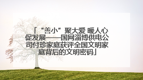 “善小”聚大爱 暖人心促发展——国网淄博供电公司付珍家庭获评全国文明家庭背后的文明密码