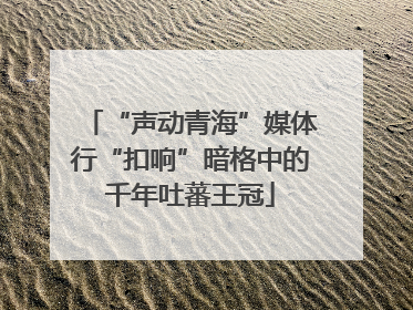 “声动青海”媒体行“扣响”暗格中的千年吐蕃王冠
