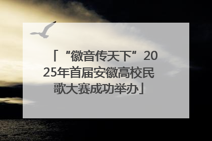 “徽音传天下”2025年首届安徽高校民歌大赛成功举办