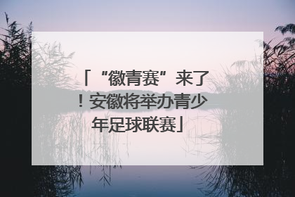 “徽青赛”来了！安徽将举办青少年足球联赛