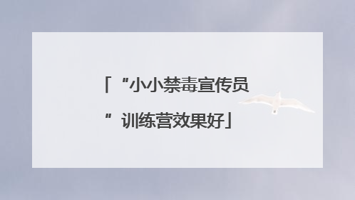 “小小禁毒宣传员”训练营效果好