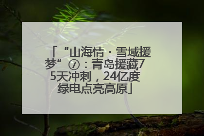 “山海情・雪域援梦”⑦：青岛援藏75天冲刺，24亿度绿电点亮高原