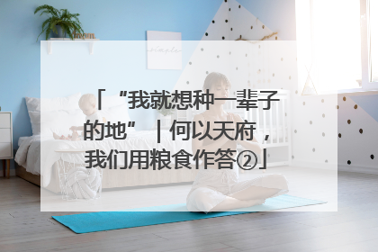 “我就想种一辈子的地”｜何以天府，我们用粮食作答②