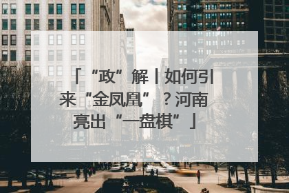 “政”解丨如何引来“金凤凰”？河南亮出“一盘棋”