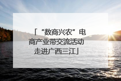 “数商兴农”电商产业带交流活动走进广西三江