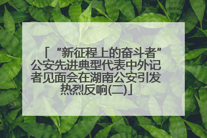 “新征程上的奋斗者”公安先进典型代表中外记者见面会在湖南公安引发热烈反响(二)