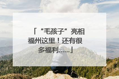 “毛孩子”亮相福州这里！还有很多福利……