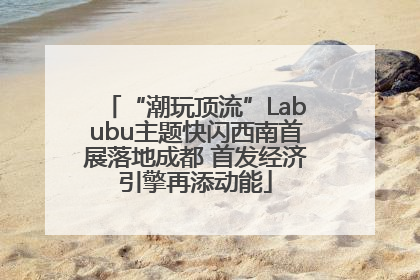 “潮玩顶流”Labubu主题快闪西南首展落地成都 首发经济引擎再添动能
