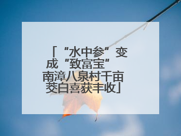 “水中参”变成“致富宝” 南漳八泉村千亩茭白喜获丰收