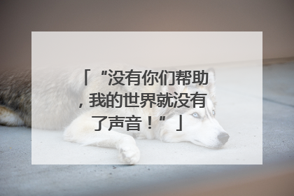 “没有你们帮助，我的世界就没有了声音！”