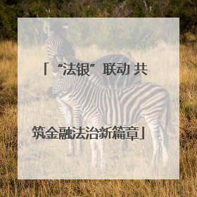 “法银”联动 共筑金融法治新篇章
