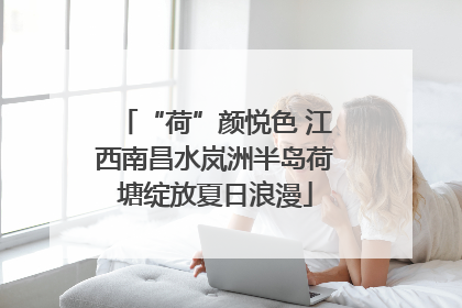 “荷”颜悦色 江西南昌水岚洲半岛荷塘绽放夏日浪漫