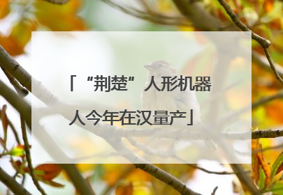 “荆楚”人形机器人今年在汉量产