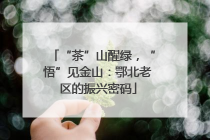 “茶”山醒绿，“悟”见金山：鄂北老区的振兴密码