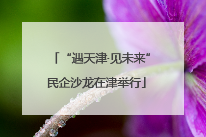 “遇天津·见未来”民企沙龙在津举行