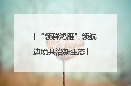 “领群鸿雁”领航边境共治新生态