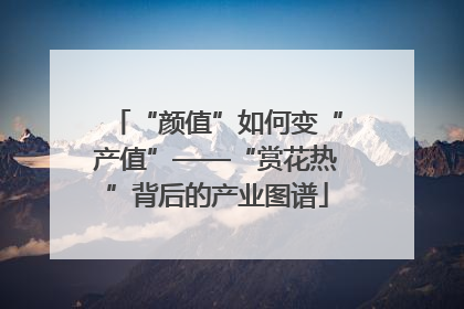 “颜值”如何变“产值”——“赏花热”背后的产业图谱