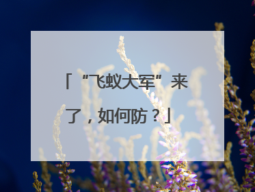 “飞蚁大军”来了，如何防？