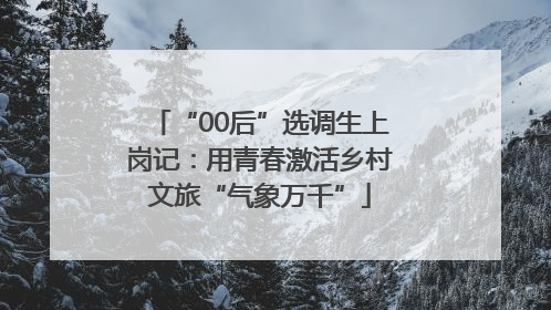 “00后”选调生上岗记：用青春激活乡村文旅“气象万千”